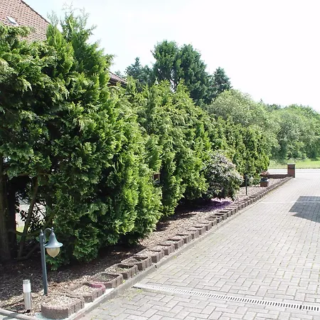 Apartamento La Domus Premium *