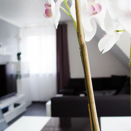 La Domus Premium Lotte