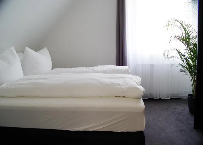 La Domus Premium * Lotte