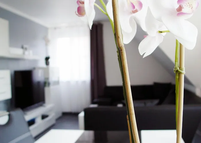 La Domus Premium Lotte